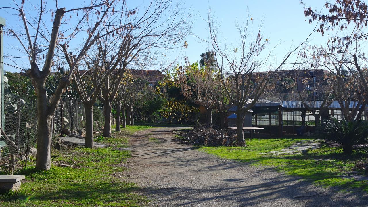 Agriturismo Masseria I Risi Guest House ซานเตอูเฟเมีย ลาเมเซีย ภายนอก รูปภาพ