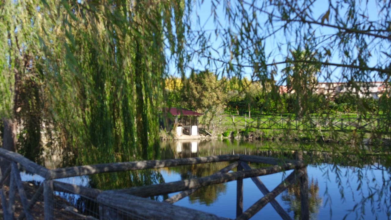Agriturismo Masseria I Risi Guest House ซานเตอูเฟเมีย ลาเมเซีย ภายนอก รูปภาพ
