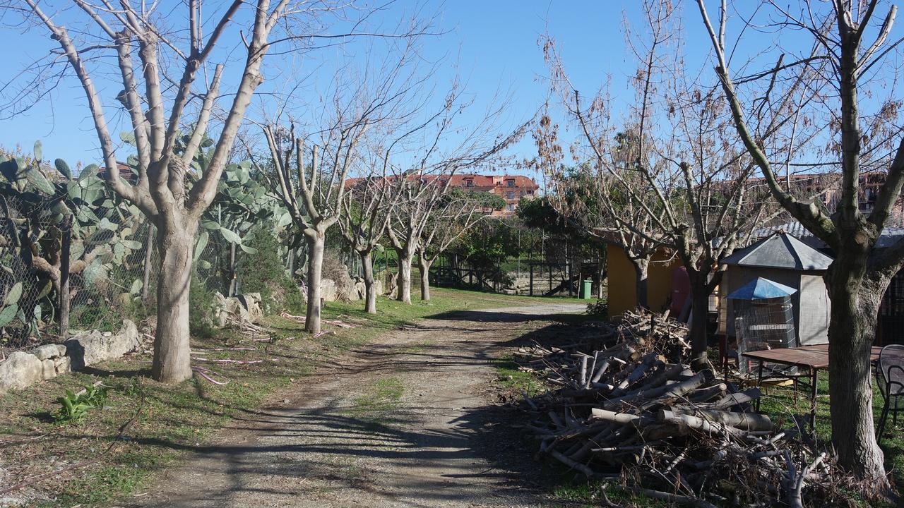 Agriturismo Masseria I Risi Guest House ซานเตอูเฟเมีย ลาเมเซีย ภายนอก รูปภาพ