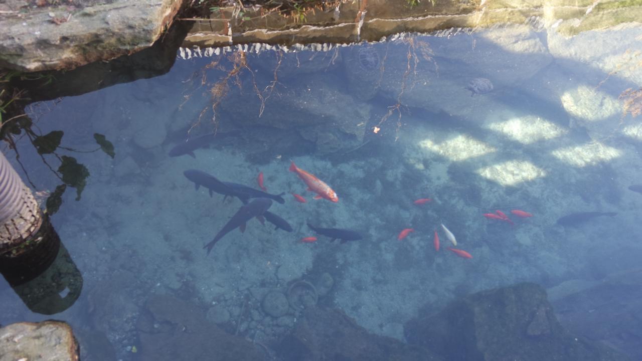 Agriturismo Masseria I Risi Guest House ซานเตอูเฟเมีย ลาเมเซีย ภายนอก รูปภาพ