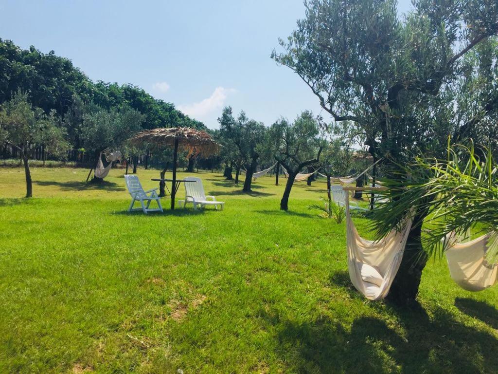 Agriturismo Masseria I Risi Guest House ซานเตอูเฟเมีย ลาเมเซีย ภายนอก รูปภาพ